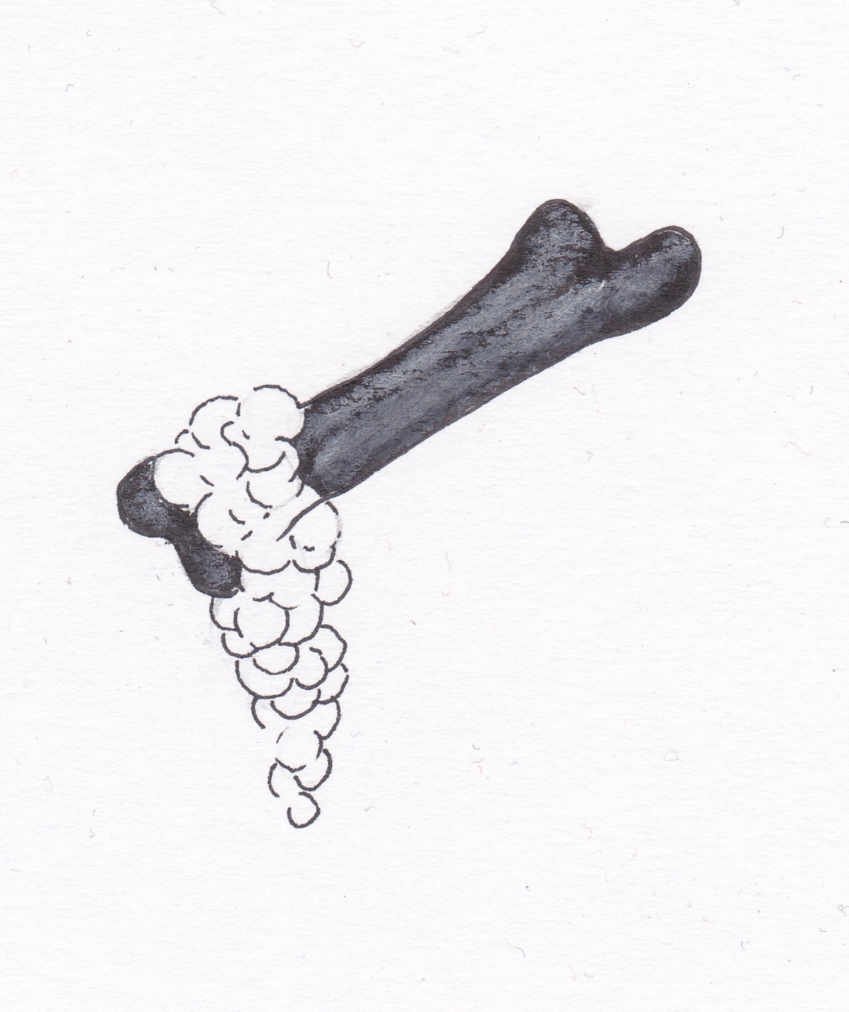 Os et bave, encre de chine sur papier Os et bave, encre de chine sur papier